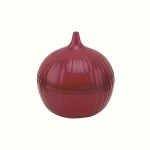 Sibula v&auml;rskuse s&auml;ilitamise konteiner Moulinex Onion Keeper, 1 tk.