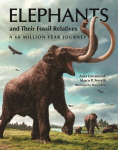 Elephants and Their Fossil Relatives: A 60 Million Year Journey, Elephants and Their Fossil Relatives: A 60 Million Year Journey