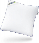 Third of Life padi 80 x 80 cm