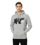 Helly Hansen Logo kapuutsiga pusa hall