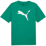 Puma Team Rise Logo Jersey Cotton meeste s&auml;rk, roheline 658705 05