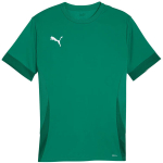 Puma teamGoal Matchday Jersey meeste s&auml;rk roheline 705747 05, 2XL