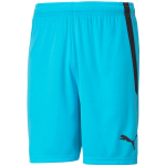 Puma teamLIGA sinised meeste p&uuml;ksid 704924 40