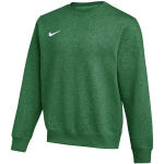 Nike Park 26 Fleece Crew meeste pusa, roheline IB1190 302