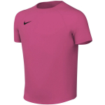 Nike Dri-Fit Park VIII laste s&auml;rk fuksia HV8182 616