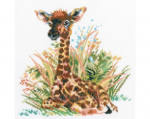 Ristpistes tikkimiskomplekt, RTO, M682, 22x21,5 cm
