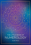 Little Book of Numerology: A Beginner's Guide to Shaping Your Destiny with the Power of Numbers