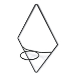 Ripphoidik lilledele Prosperplast Showy Hanger IKSH1M, 38,6 x 20,9 x 65,6 cm