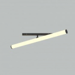 Raudteevalgustus Larc Maytoni Technical TR086-2-25W4K-B