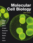 Molecular Cell Biology 9th ed. 2021