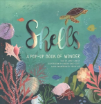 Shells: A Pop-Up Book of Wonder