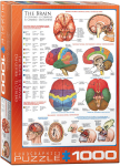 Pusle Eurographics, 6000-0256, The Brain, 1000 tk