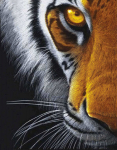 Teemantmosaiik TM V&auml;rvikas, m&otilde;&otilde;dud 40x50 cm "Eye of the Predator" LG167e