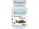 Toidulisand Prostate Endza Planet Ayurveda&reg; 60 kapslit