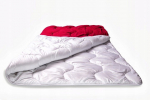 Fluxar kodu padi DV-2073, 160x200cm FLEECE
