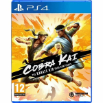 Cobra Kai: The Karate Kid Saga Continues - PlayStation 4