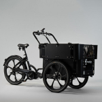 Elektriline kastiratas CARGOBIKE of SWEDEN Delight Kindergarten