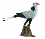 Kujuke Lind Collecta, erinevad v&auml;rvid 88796 87968