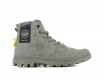 Palladium Pampa Surplus _ heleroheline _ hall