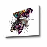 Reproduktsioon Liblikas