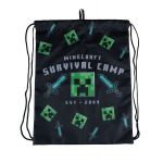 Astra Minecraft Survival Camp