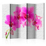 Ruumijaotur - Pink excitation II [Room Dividers], 225x172 cm