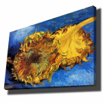 Reproduktsioon P&auml;evalilled