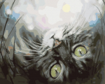 Maalimine numbrite j&auml;rgi - maalimise komplekt 30 x 40 cm, "Dreaming Kitten"