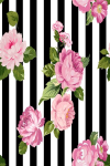Asir vaip Exfab315 120x180 cm
