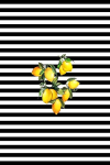 Asir vaip Hmnt547 80x120 cm