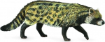 Civet Aafrika Wiwera kass - Collecta