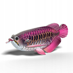 3d-m&otilde;istatus Arowana Fish &ndash; Eugy
