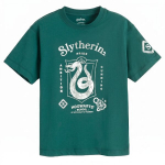 Cool Club poiste T-s&auml;rk Warner Bros LCB3320509