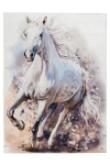 Vaip Sympathy , 120x170 cm, valge