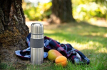 Thermos Martin 350 ml roostevaba teras