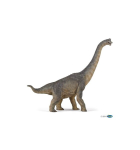 Figurine Brachiosaurus Papo voor kinderen vanaf 3 jaar - Dinosaurussen