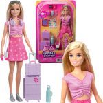 Nukk Barbie Family & Friends Malibu: Piirideta seiklus Mattel, JMJ47