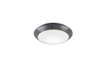 Reality v&auml;litingimustesse m&otilde;eldud laelamp Camaro R60501042