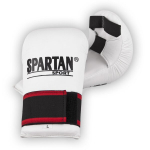 Karate kindad inSPORTline Spartan Boxing