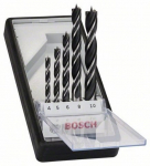 Bosch puidupuuri otsikute komplekt 6 8 10 4 5mm (2607010527)