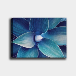 Reproduktsioon Agava