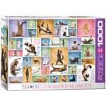 Pusle Eurographics, 6000-0953, Yoga Cats, 1000 tk