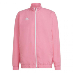 Meeste kampsun Adidas Entrada 22 HC5040, roosa