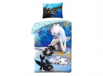 Laste voodipesukomplekt Dragon, 2-osaline