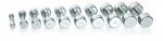 Hantel Gymstick Pro Chrome, 1 tk