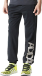 P&uuml;ksid teismelistele Adidas YB LR B SWT PT, 164 cm