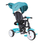 Kolmerattaline jalgratas Lorelli Moovo, Green Luxe