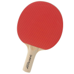 Lauatennise reket algajale BT20