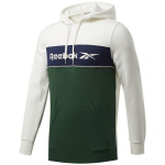 Meeste džemper Reebok Classic Linear Hoodie M GD0436, S