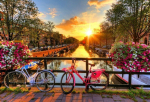 Puidust pusle Amsterdami jalgrattad, 300 tk